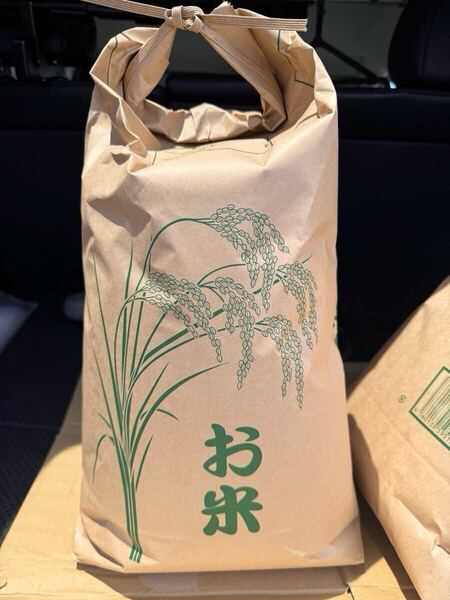 令和6年栃木産コシヒカリ 玄米 10キロ