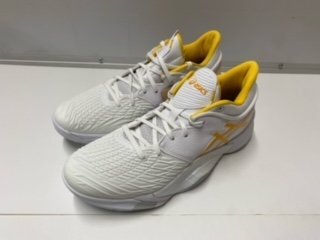 アンプレアルス Low 2 中古