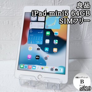iPad mini5 64GB SIMフリー 管理No.s219