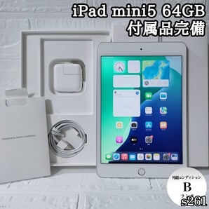 iPad mini5 64GB SIMフリー 付属品完備 管理No.s261