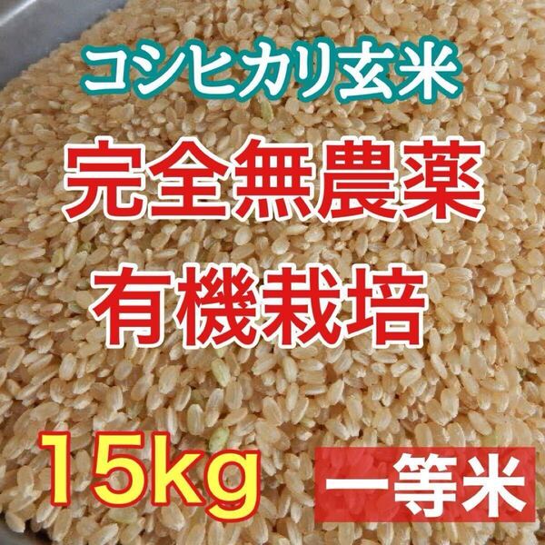 完全無農薬 有機栽培 15キロ 『一等米』令和6年 新米 コシヒカリ玄米 安心安全で美味しいお米 農家直送!精米無料!