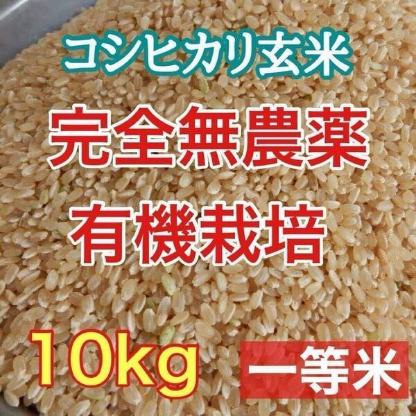 完全無農薬 有機栽培 10キロ 『一等米』令和6年 新米 コシヒカリ玄米 発芽玄米になります!精米無料 6月22日までの出品です