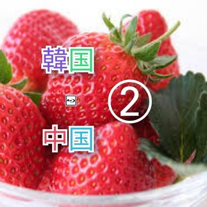 韓国ドラマ 中国ドラマ 2枚選んでね