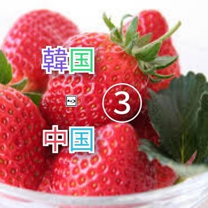 韓国ドラマ 中国ドラマ 3枚選んでね