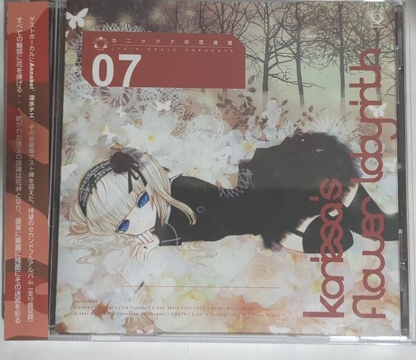 中古 LYDIA GRAVE カニッツァの花迷宮 annabel 深水チエ