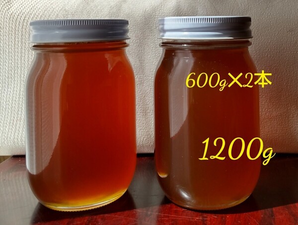 非加熱 日本ミツバチ 蜂蜜 百花蜜 国産 日本蜜蜂 1200g