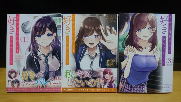 ★ 送料込 きみって私のこと好きなんでしょ? 全3巻 望公太/著