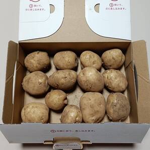 新ジャガイモ キタアカリ 約1Kg 51g~100gサイズ ゆうパケットプラス
