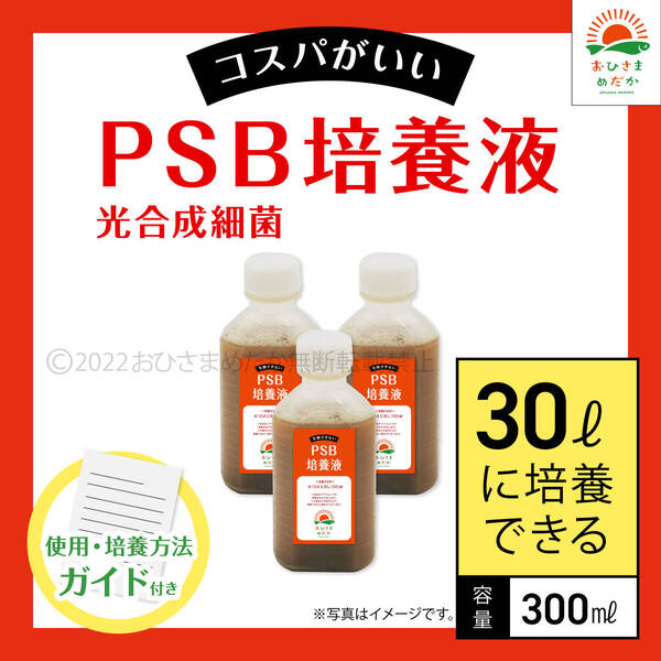 コスパ最強【PSB培養液 300ml 30L培養分 送料無料】光合成細菌 メダカ めだか 金魚 ミジンコ ゾウリムシ クロレラ ミジンコ に最適
