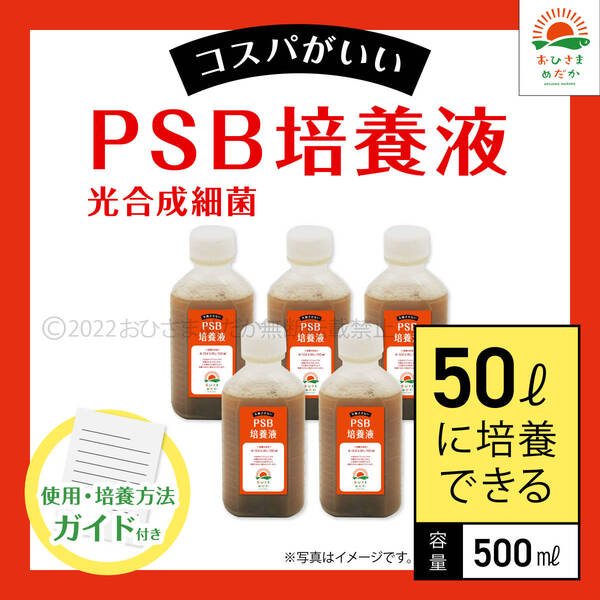 コスパ最強【PSB培養液 500ml 50L培養分 送料無料】光合成細菌 メダカ めだか 金魚 ミジンコ ゾウリムシ クロレラ ミジンコ に最適