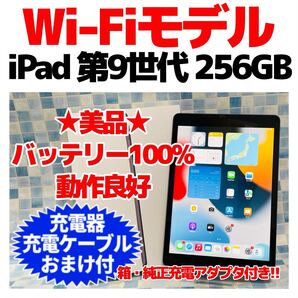 美品 Wi-Fi iPad 9世代 本体 256GB WiFiモデル 989