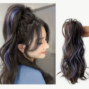 ウィッグ ロング カール メッシュ 楽々ワンタッチ ブラウン/ブルー