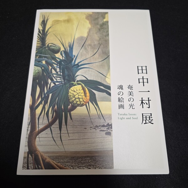 【完売】田中一村展 奄美の光 魂の絵画 東京都美術館 図録