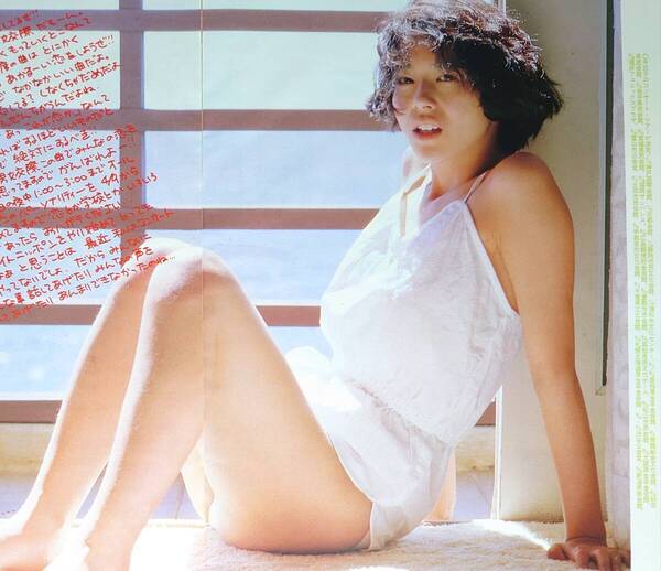 小泉今日子 1982年〜1988年 大量 切り抜き ファイル 2冊 120P