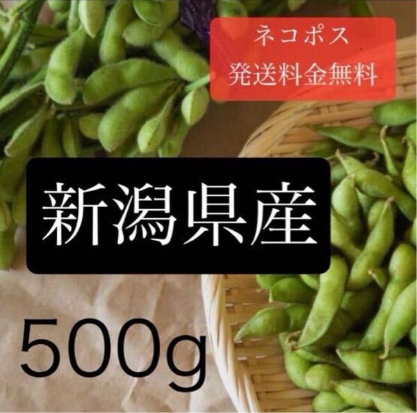 〈産地直送〉夏採れ枝豆_500g