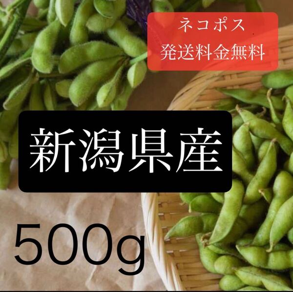 〈産地直送〉夏採れ枝豆_500g