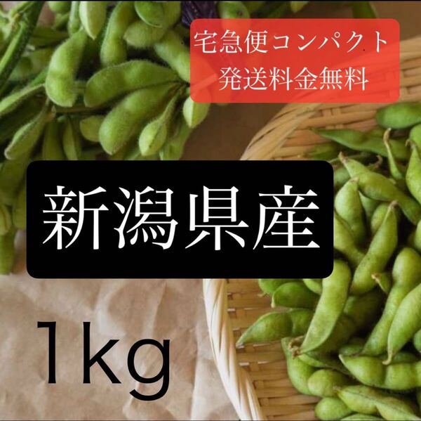 〈産地直送〉夏採れ枝豆1kg