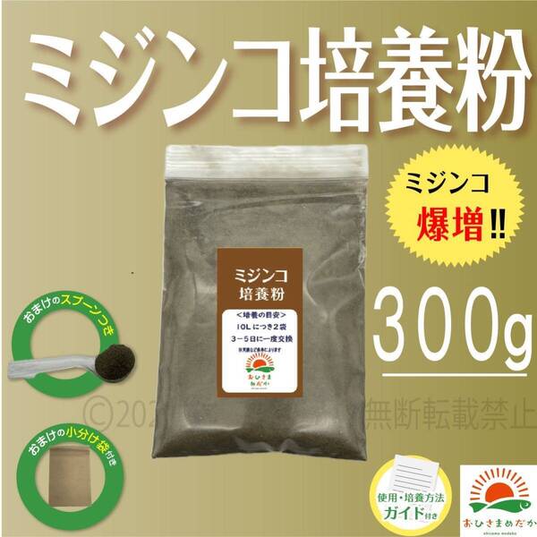 【ミジンコ培養粉300g(30袋分)】めだかエサゾウリムシ 金魚めだかタマミジンコ オオミジンコ タイリクミジンコPSBと生クロレラ併用可