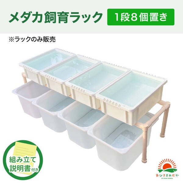★メダカ飼育白ラック 1段8個置き★ めだか飼育棚 容器棚 めだか容器産卵撮影ビオトープゾウリムシPSBミジンコ培養針子にどうぞ