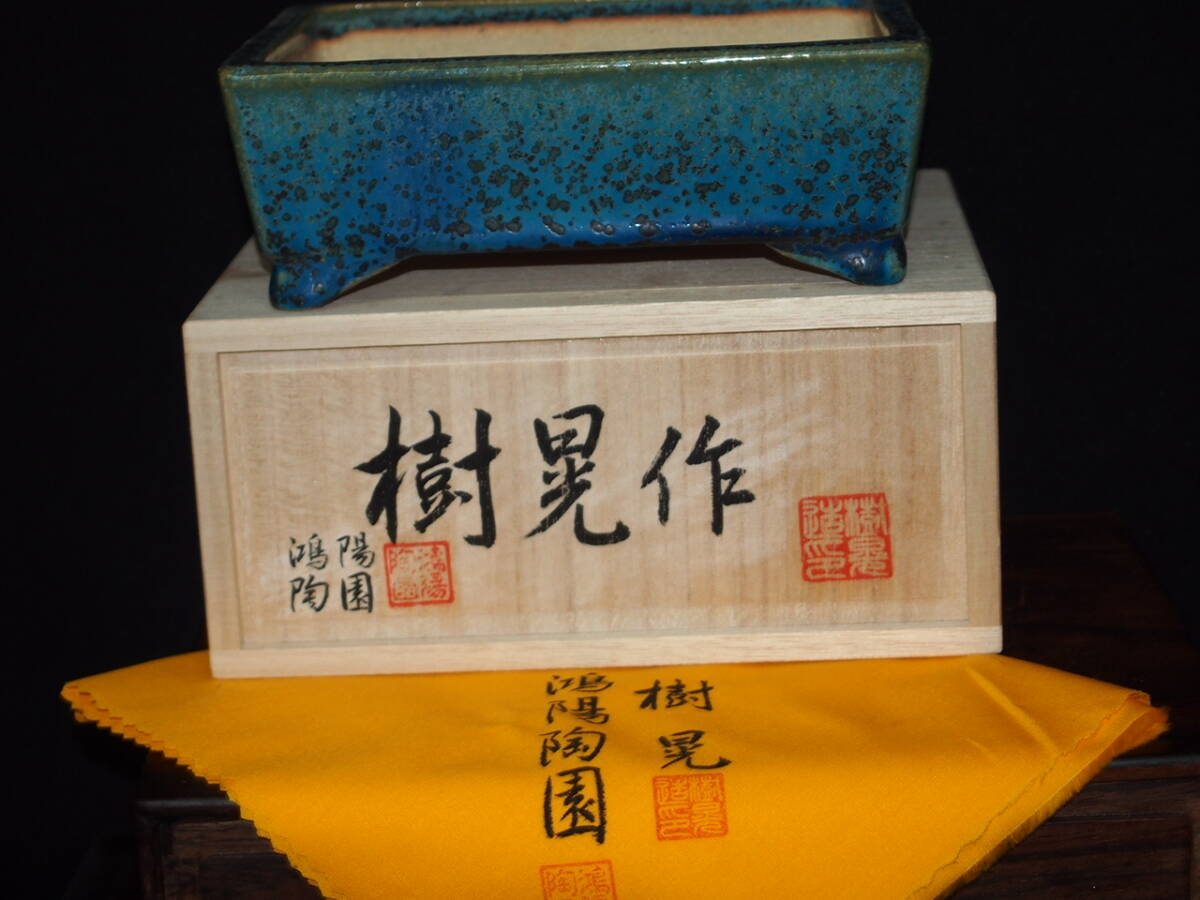 鴻陽　長方　盆栽鉢 楽天市場】EXPO 2025 日本盆栽・水石展 記念鉢 盆栽鉢 鴻陽