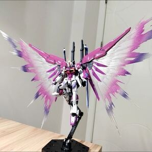 RG 1/144 ディスティニーガンダム&デスティニーインパルス用光の翼