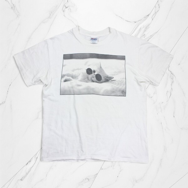 古着 MEXICO製 HANES T-SHIRTS WHITE Tシャツ シングルステッチ 半袖 【Vintage】