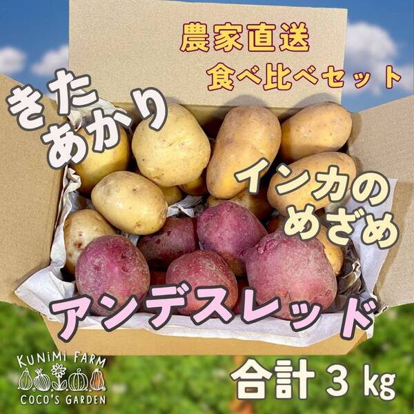 きたあかり、アンデスレッド、インカのめざめ 食べ比べセット じゃがいも 3kg