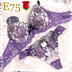 セール★E75L★ロージー刺繍 パープル 紫★ブラジャーTバックセット★脇高ブラ レース セクシー 薔薇 Eカップ アンダー75 新品 下着★みゆ