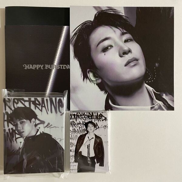 SEVENTEEN ウォヌ HAPPY BURSTDAY DAREDEVIL バインダー トレカ 24枚 検) セブチ フォトカード