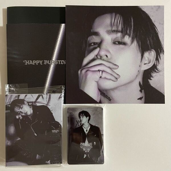 SEVENTEEN エスクプス HAPPY BURSTDAY DAREDEVIL バインダー トレカ 24枚 検) セブチ フォトカード