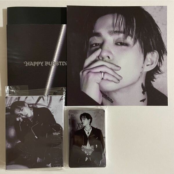 SEVENTEEN エスクプス HAPPY BURSTDAY DAREDEVIL バインダー トレカ 24枚 検) セブチ フォトカード