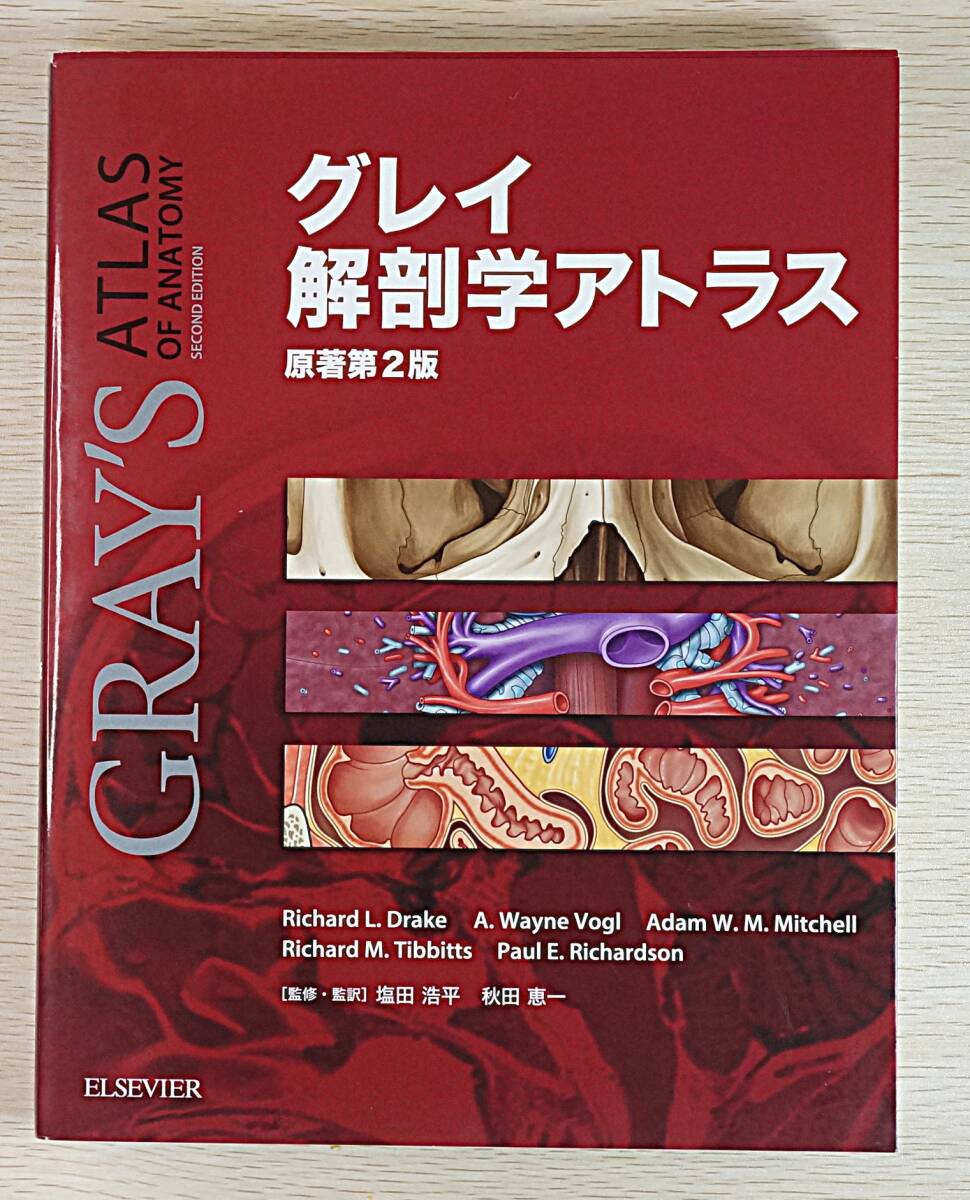 グレイ解剖学 新品未使用 2025年最新】Yahoo!オークション -グレイ解剖学の中古品・新品
