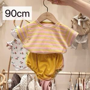 90㎝ セットアップ 女の子 ピンクボーダー 半袖 半ズボン ブルマー コットン 通気性 吸汗性 夏服 可愛い おしゃれ 涼しい