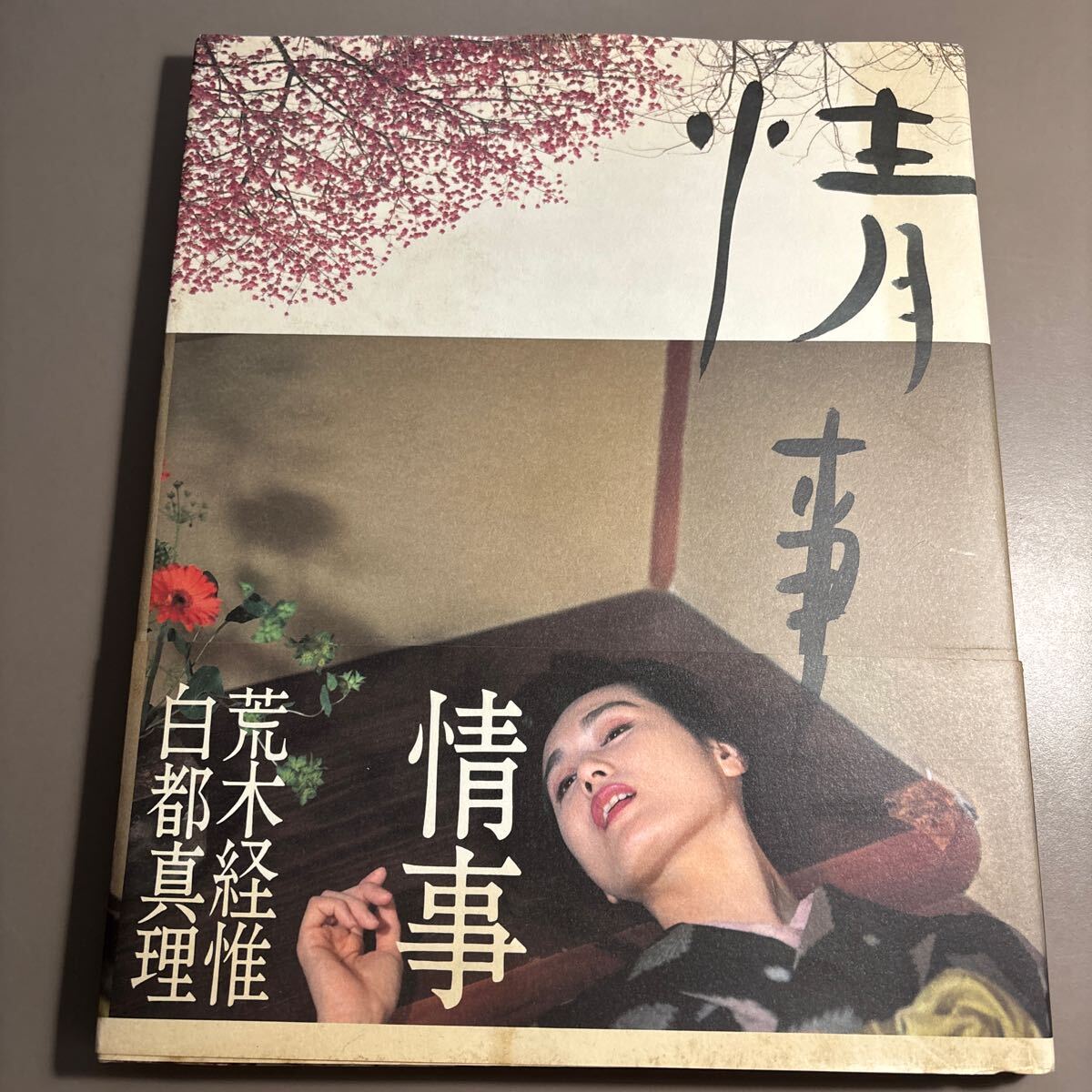 今年の日記 平成版フォトCDグラビア絵巻 / 荒木経惟 | 小宮山