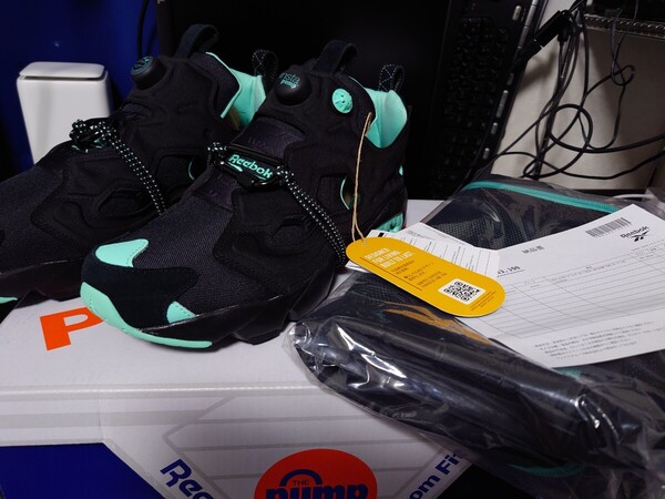 POTR × Reebok Instapump Fury 94 Turquoise ピーオーティーアール × リーボック インスタポンプフューリー94 ターコイズ US10