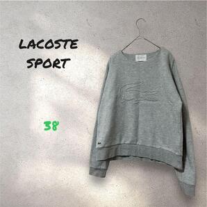 LACOSTE ラコステ 3Dエンボスグラフィックテニススウェット 38