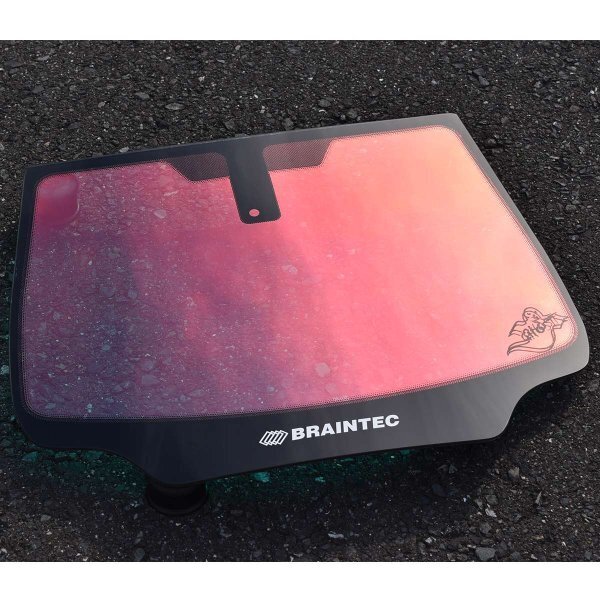 送料無料 小窓のみ ローズゴースト B21A デイズルークス カットフィルム フロントサイド カット済みフィルム オーロラ ゴーストフィルム
