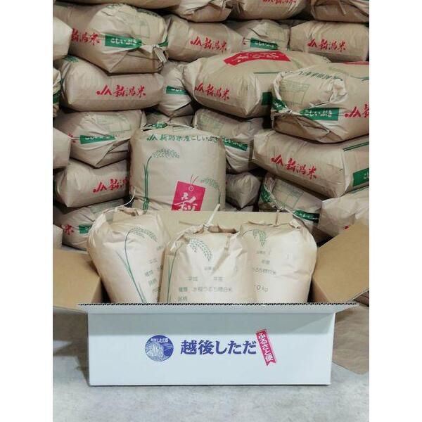 最後の一袋! 2024年新潟産コシヒカリ玄米20Kg おいしいよ(^_-)-☆