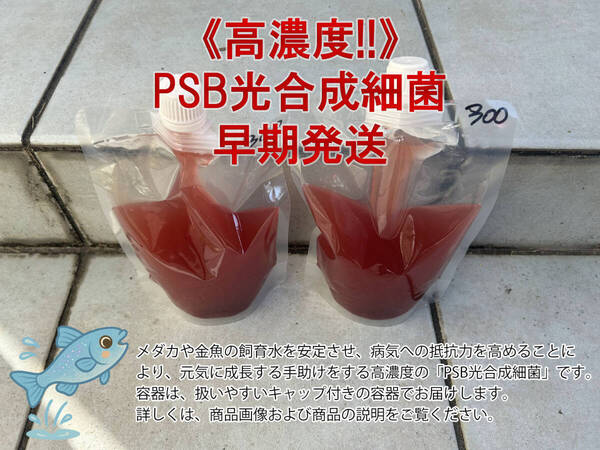 PSB光合成細菌 600ml 扱い易いキャップ付きパウチ入り【送料込】_50067