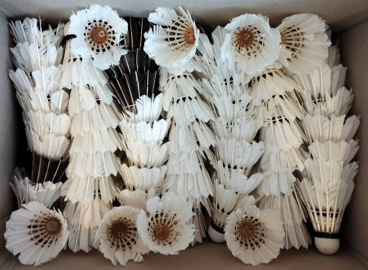 中古　シャトル　　120球 YONEX バドミントン シャトルコック 水鳥シャトル ヨネックス