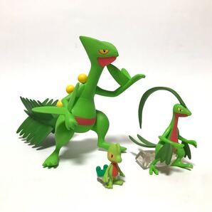 ポケモン スケールワールド ホウエン地方 キモリ ジュプトル ジュカイン セット / ポケットモンスター フィギュア
