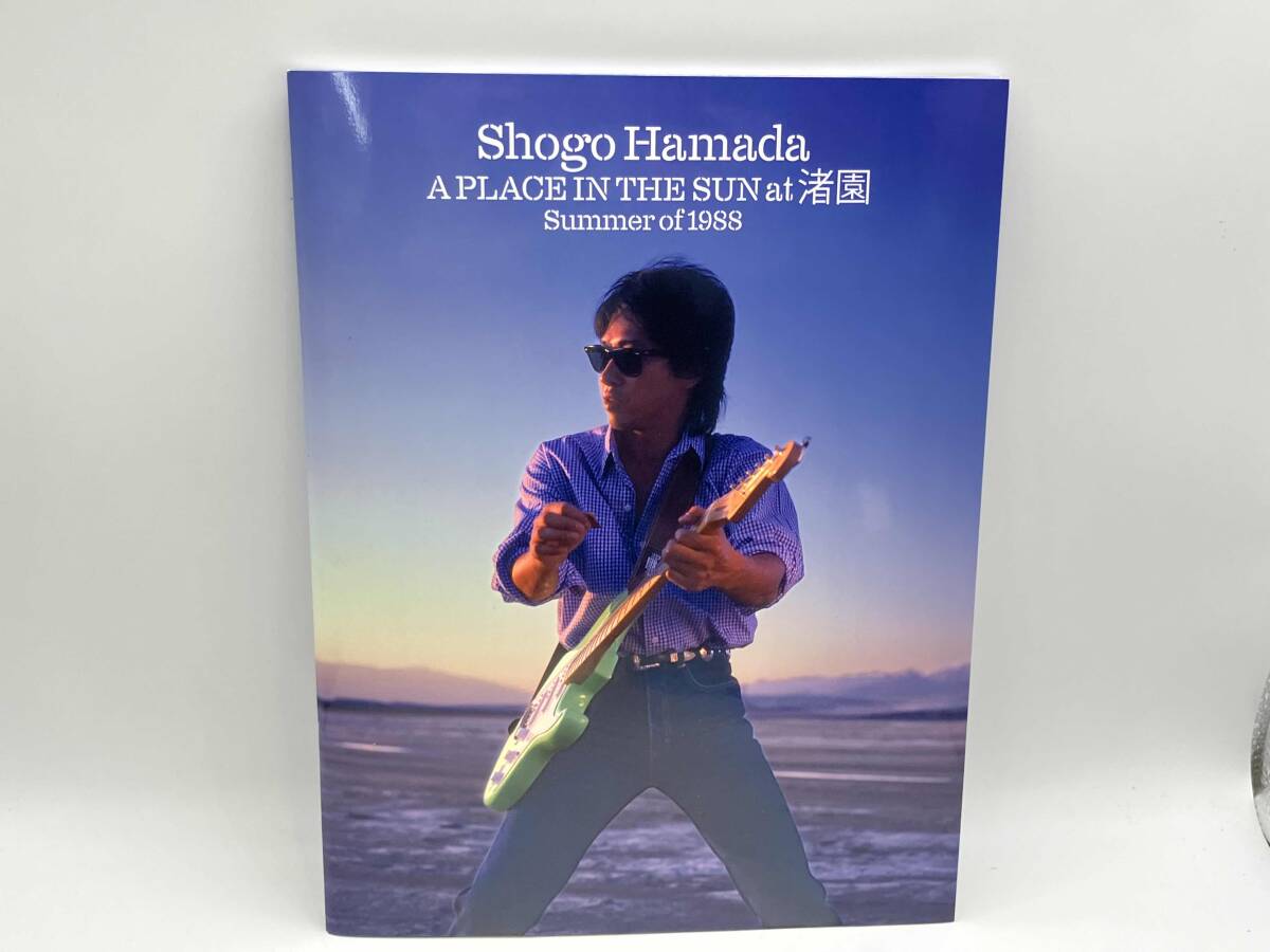 A SUMMER PLACE ア サマー プレイス LP 新品未使用に近い A SUMMER PLACE ア サマー プレイス LP 新品未使用に近い 2025年