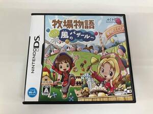 ニンテンドーDS 牧場物語 ようこそ!風のバザールへ Nintendo