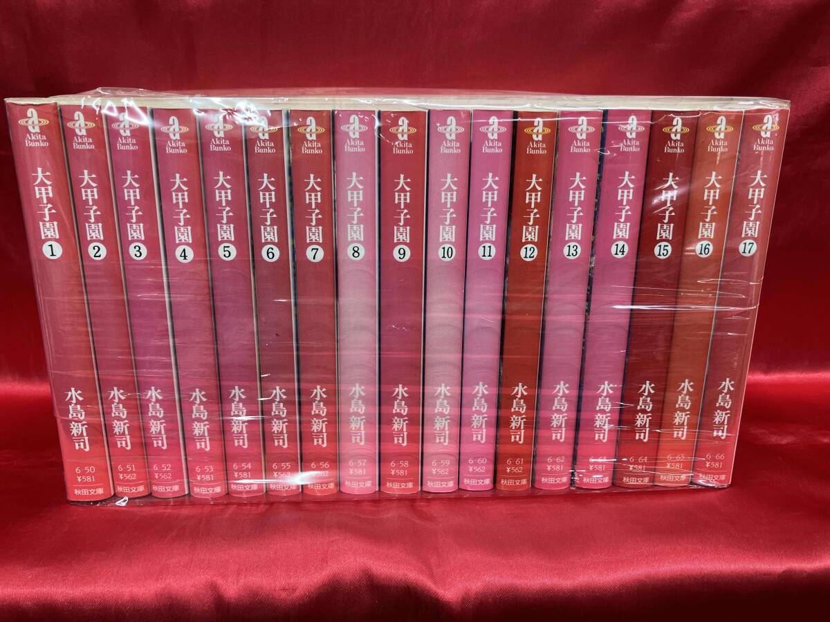 Amazon.co.jp: 大甲子園 文庫全17巻 全巻初版 (秋田文庫) 秋田