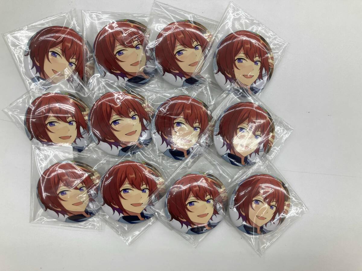 あんスタ Knights アルバム TRIP 朱桜司 20点 アルバム缶バッジ
