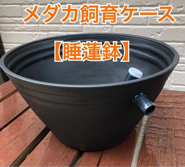 メダカ飼育ケース 睡蓮鉢タイプ【大】