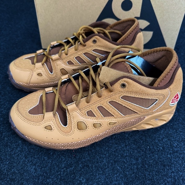 27.5cm 新品未使用 NIKE ACG AIR EXPLORAID ナイキ エア エクスプロレイド エーシージー スニーカー トレイル シューズ 登山 箱有り 正規品