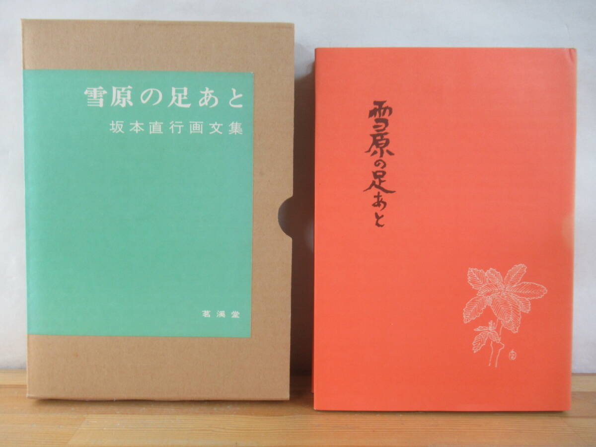 ☆坂本直行☆「 かしわの新葉 」ペン画 インチ 未使用！