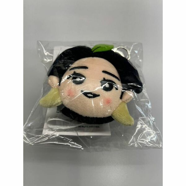 Mrs. GREEN APPLE ミセス ソウルコン完売ぬいぐるみキーリング大森