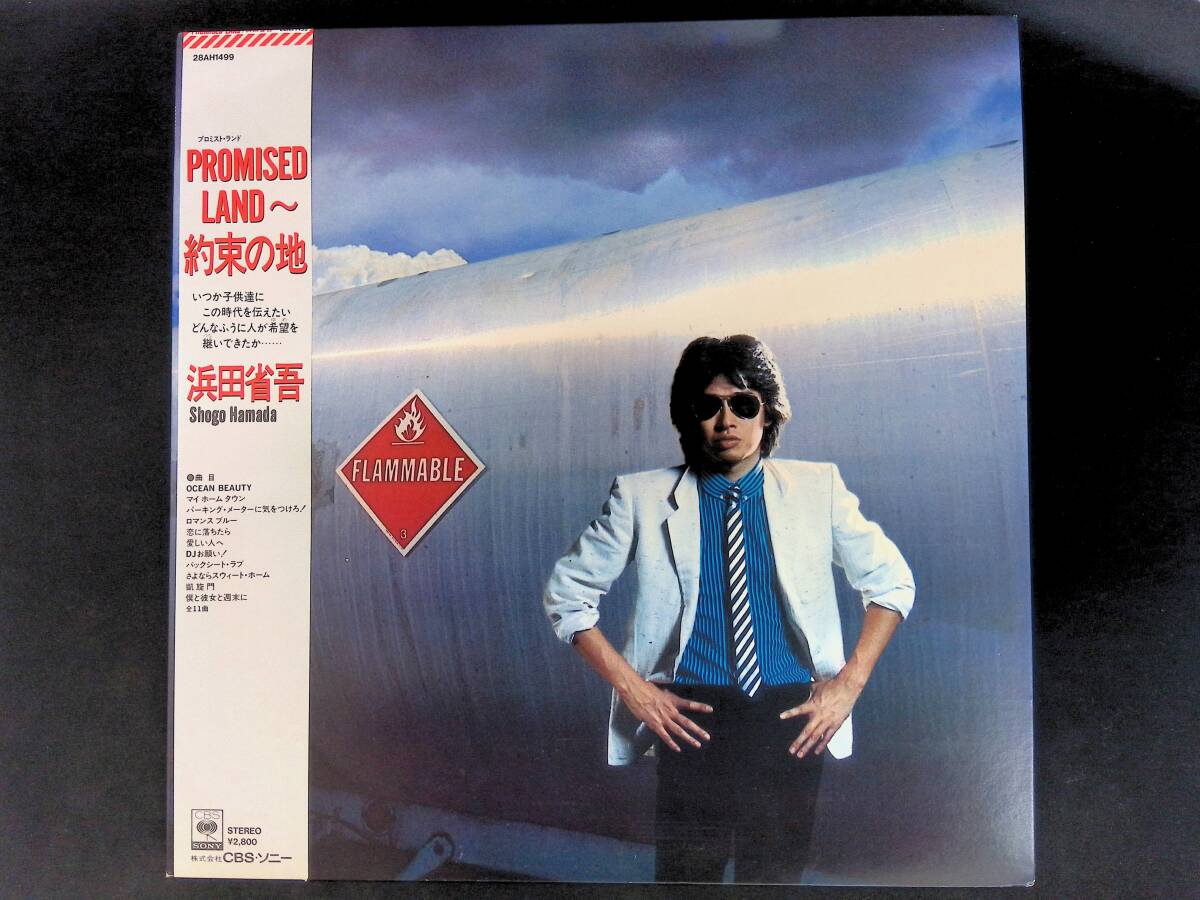 (激レア 昭和レトロ商品)浜田省吾のすべて(店頭演奏用)LPレコード 2025年最新】Yahoo!オークション -浜田省吾 レコードの中古品